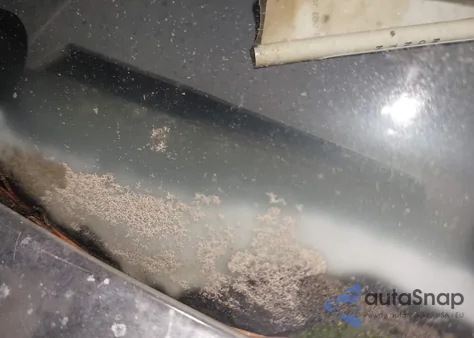 1997 Ford F-250 Xl from USA, damaged, VIN 1FTHF26H8VEA42999